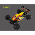 High speed rc car,1:18 mini model cars, brushless rc electric car